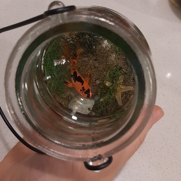 3d fish for decoration - Picture 4 of 5